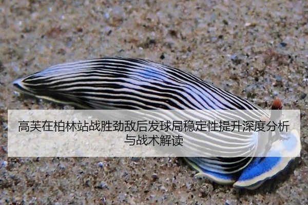 高芙在柏林站战胜劲敌后发球局稳定性提升深度分析与战术解读