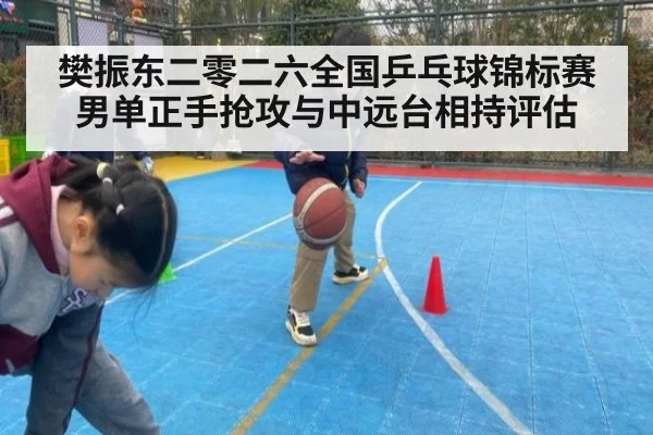 樊振东二零二六全国乒乓球锦标赛男单正手抢攻与中远台相持评估
